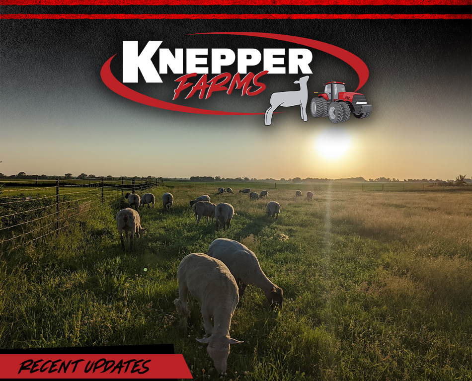 Knepper Farms